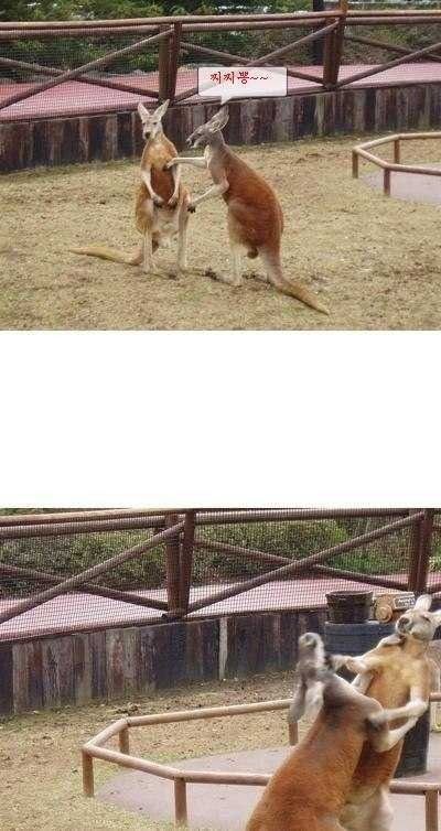 찌찌뽕~.jpg
