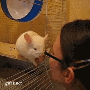 으에에 부끄러워.gif