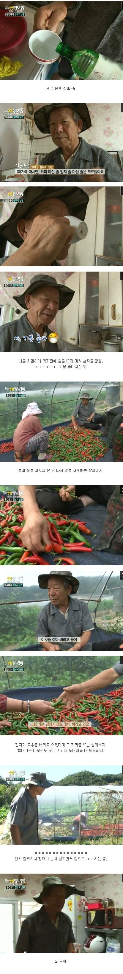 시트콤같은 생생정보통.jpg