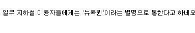 서울 지하철 뉴욕퀸.jpg