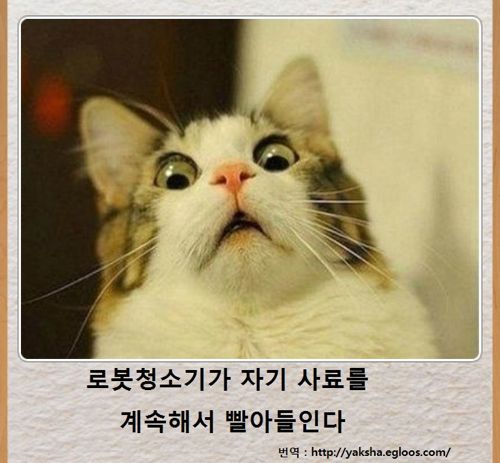 열도의 제목학원 우수작25