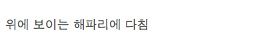 천조국의 3류 영화 