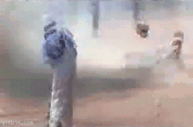 봉인.gif