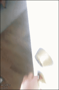 앉아 있는거 처음보냐.gif