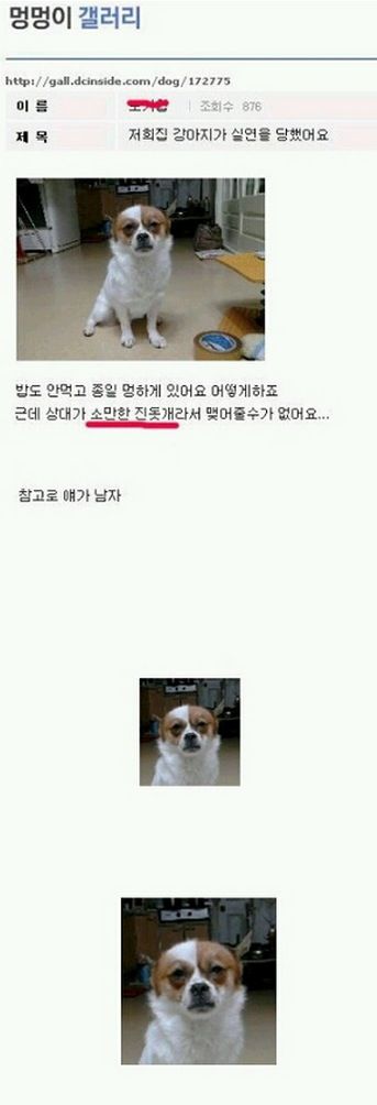 실연당한 멍멍이.jpg