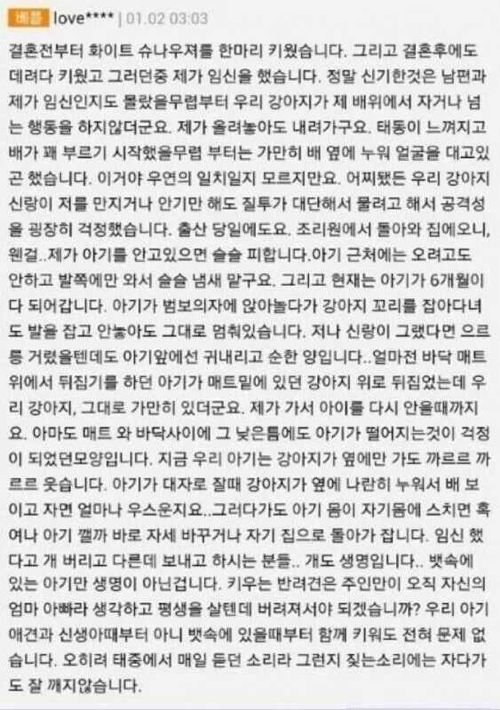 반려 동물 강아지의 위엄