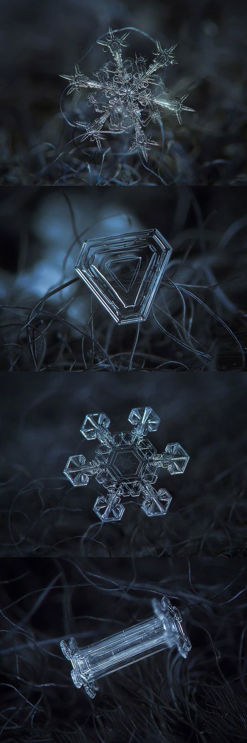 하늘에서 내리는..jpg