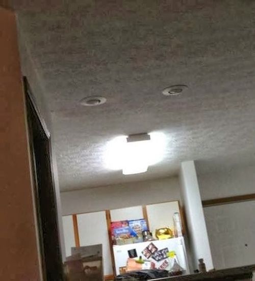 살아있는 표정들.jpg