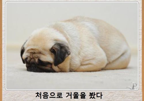 열도의 제목학원 우수작33
