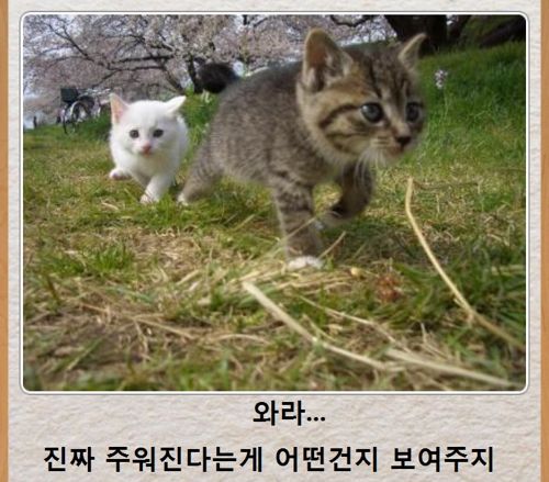 열도의 제목학원 우수작33