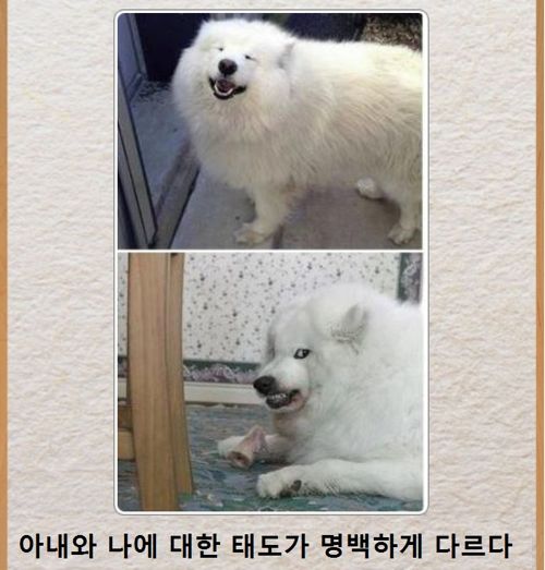 열도의 제목학원 우수작33