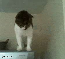 중력따윈 무시한다.gif