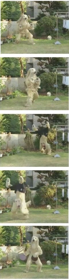주인이 오늘 고기를 먹는다고 해서 좋아했는데..