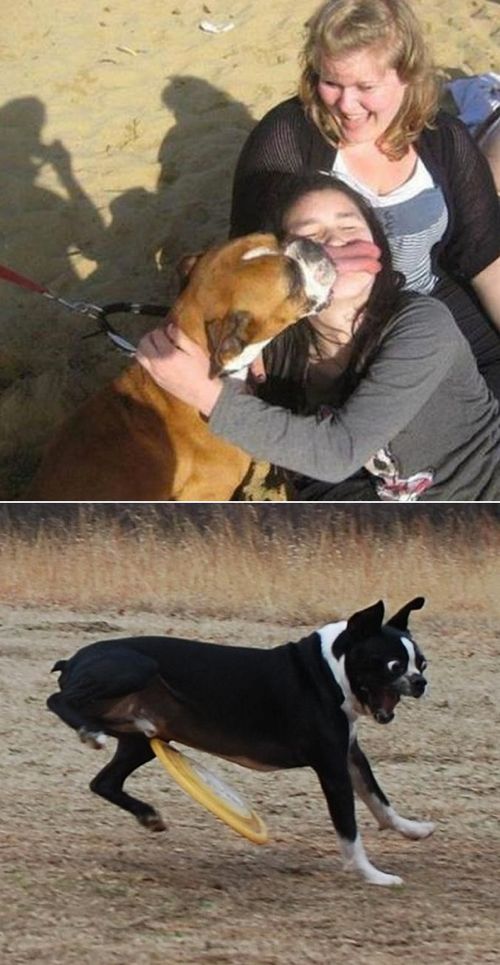 절묘한 사진들.jpg