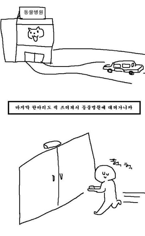 하교길에 병아리 사온 조카.jpg