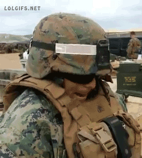 거북이.gif
