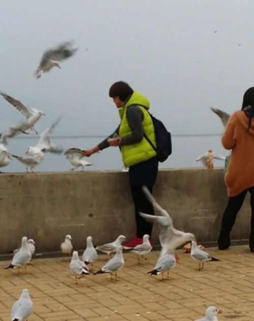 오늘 저녁은 고기반찬