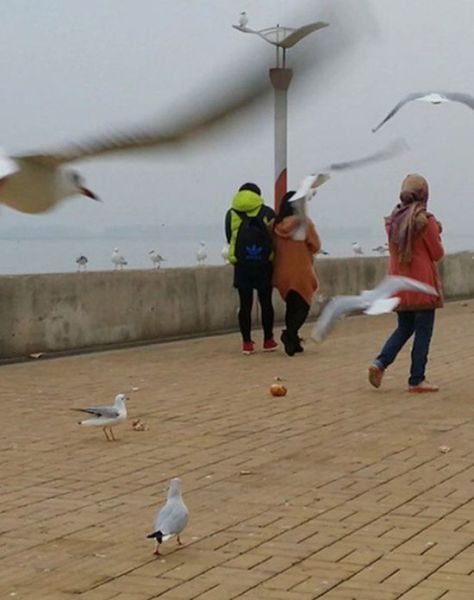 오늘 저녁은 고기반찬
