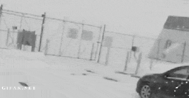 노상방뇨.gif