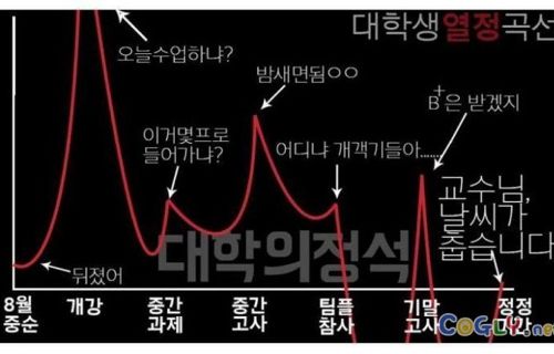 대학생활 열정곡선.jpg
