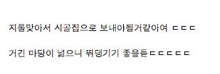 오늘 데려온 멍멍이 못키울 것 같아요