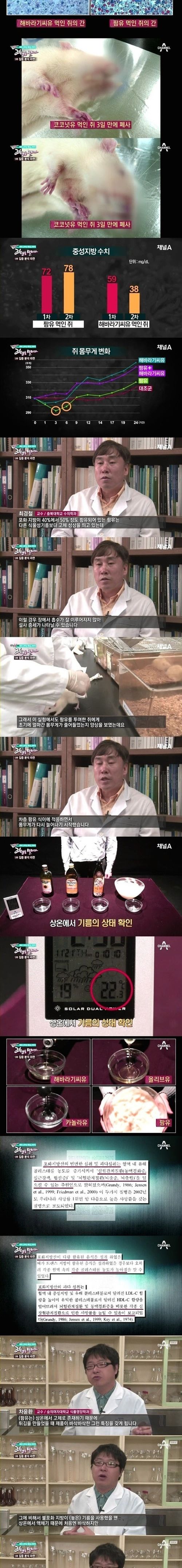 라면을 팜유에 튀기는 이유