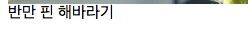 기묘한 사진들.jpg