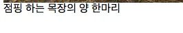 기묘한 사진들.jpg