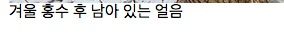 기묘한 사진들.jpg