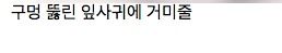 기묘한 사진들.jpg