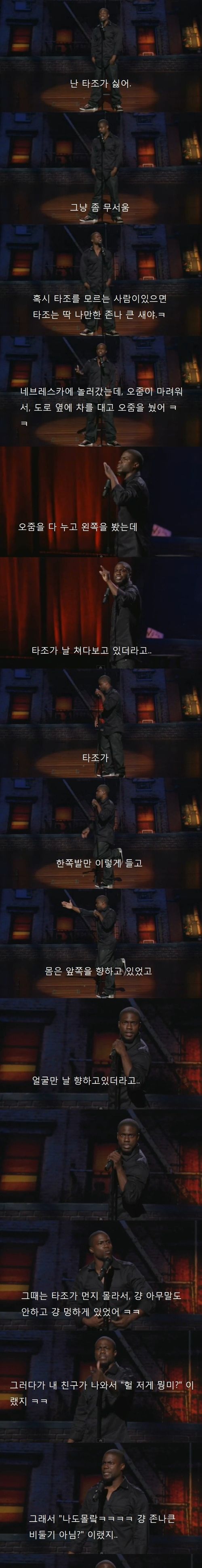흑형과 타조.jpg