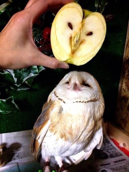 너 이렇게 생겼어.jpg