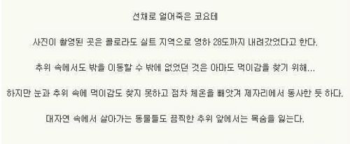 한파의 무서움.jpg