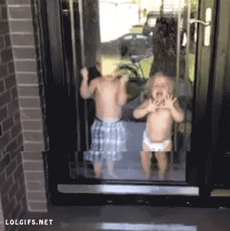 위험행.gif