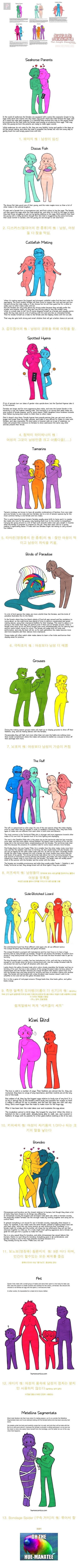 [19]동물의 성.jpg