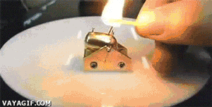 위험한 미니대포.gif