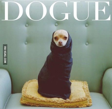 Dogue  Magazine