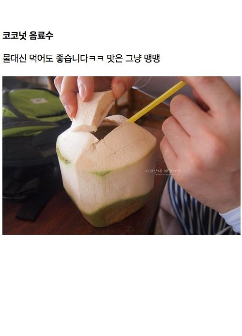 [스압]태국에 가면 꼭 먹어봐야 할 음식들.jpg