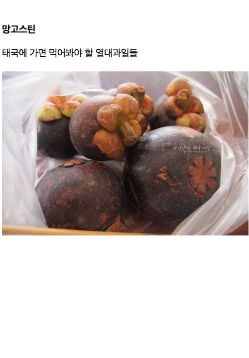 [스압]태국에 가면 꼭 먹어봐야 할 음식들.jpg