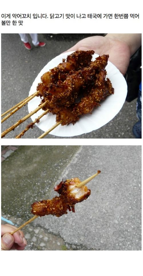 [스압]태국에 가면 꼭 먹어봐야 할 음식들.jpg