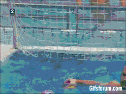 대패해서 빡친 수구 골키퍼.gif
