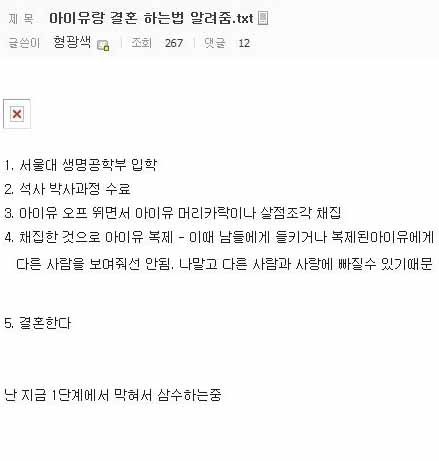 어느 디시인의 아이유와 결혼하는법
