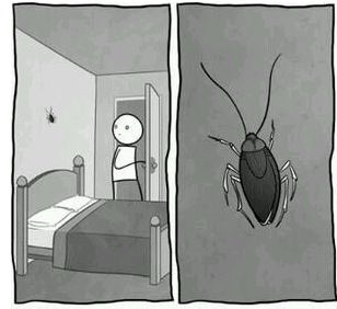 바퀴벌레 공감.jpg