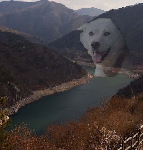개강.jpg