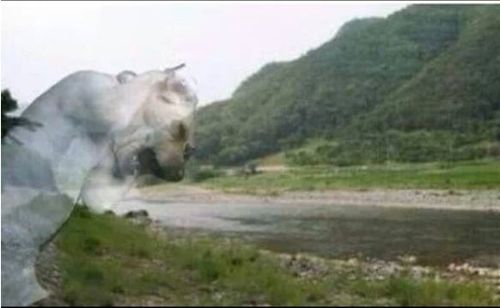 개강.jpg
