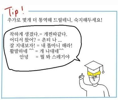 엉덩국이 알려주는 신입생 TIP
