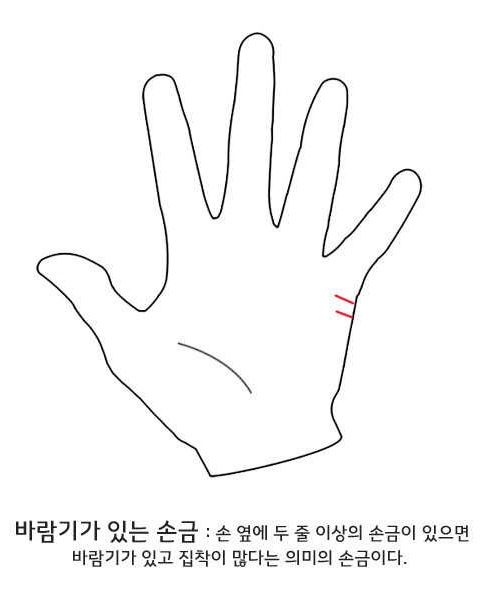 셀프 손금보기.jpg