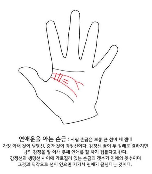 셀프 손금보기.jpg
