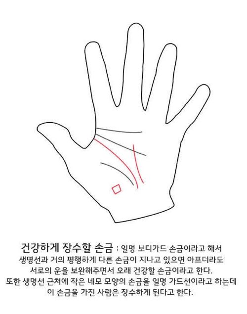 셀프 손금보기.jpg