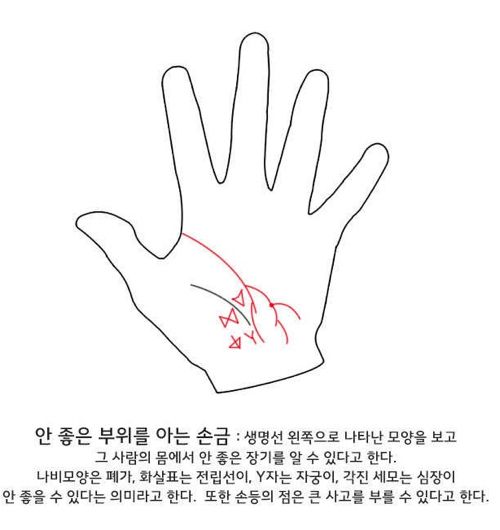 셀프 손금보기.jpg